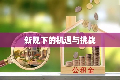 临沧新规下的机遇与挑战