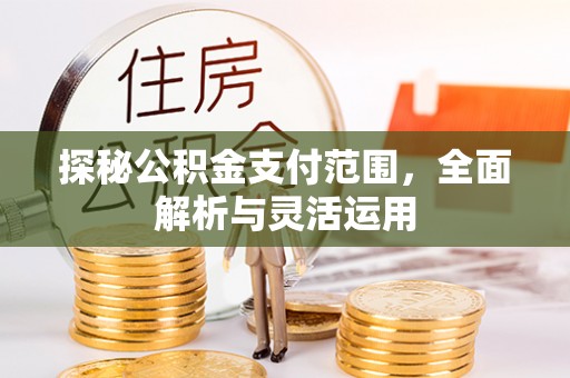临沧探秘公积金支付范围，全面解析与灵活运用