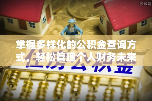 临沧掌握多样化的公积金查询方式，轻松管理个人财务未来