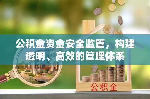 临沧公积金资金安全监管，构建透明、高效的管理体系