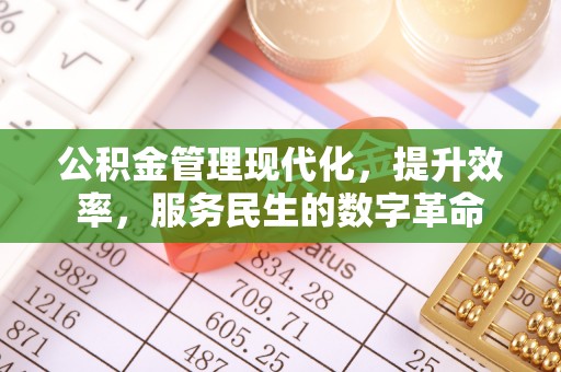 临沧公积金管理现代化，提升效率，服务民生的数字革命