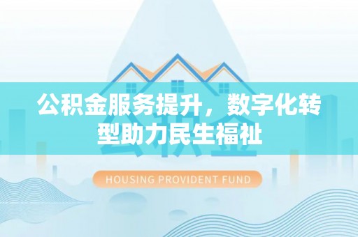 临沧公积金服务提升，数字化转型助力民生福祉