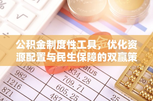 临沧公积金制度性工具，优化资源配置与民生保障的双赢策略