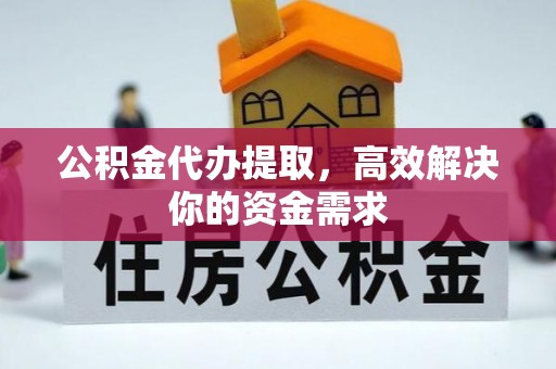 临沧公积金代办提取，高效解决你的资金需求