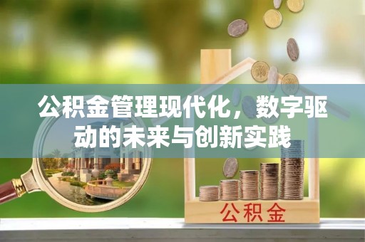 临沧公积金管理现代化，数字驱动的未来与创新实践