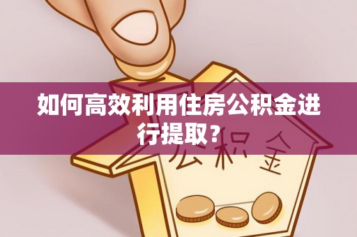 临沧如何高效利用住房公积金进行提取？