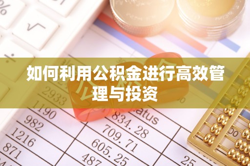 临沧如何利用公积金进行高效管理与投资