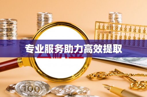 临沧专业服务助力高效提取