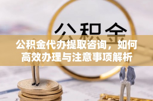临沧公积金代办提取咨询，如何高效办理与注意事项解析