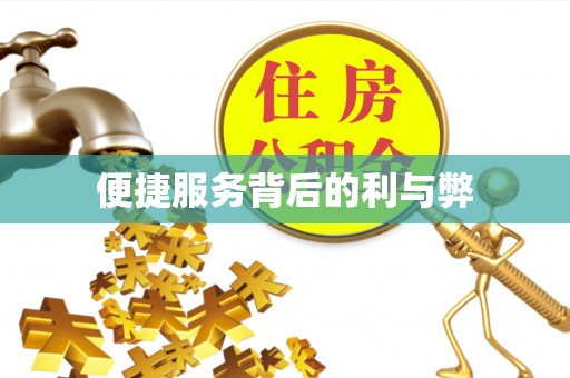 临沧便捷服务背后的利与弊