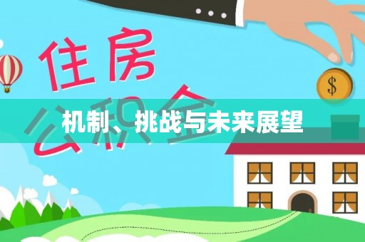 临沧机制、挑战与未来展望