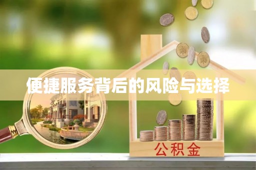 临沧便捷服务背后的风险与选择