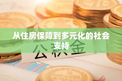 临沧从住房保障到多元化的社会支持