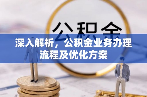 临沧深入解析，公积金业务办理流程及优化方案