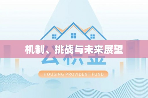 临沧机制、挑战与未来展望