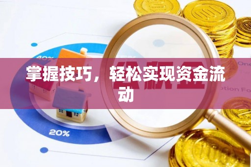 临沧掌握技巧，轻松实现资金流动