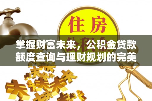 临沧掌握财富未来，公积金贷款额度查询与理财规划的完美结合
