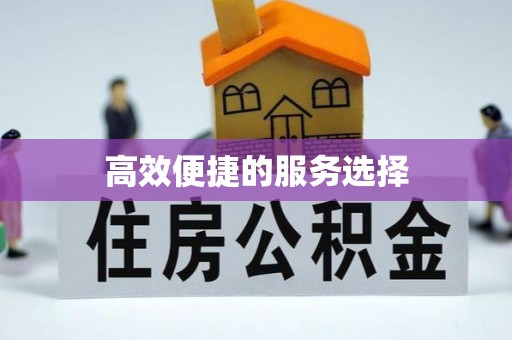 临沧高效便捷的服务选择
